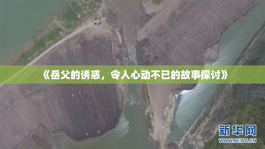 《岳父的诱惑，令人心动不已的故事探讨》