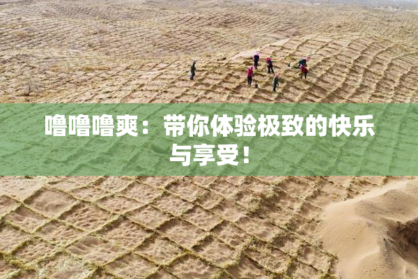 噜噜噜爽：带你体验极致的快乐与享受！