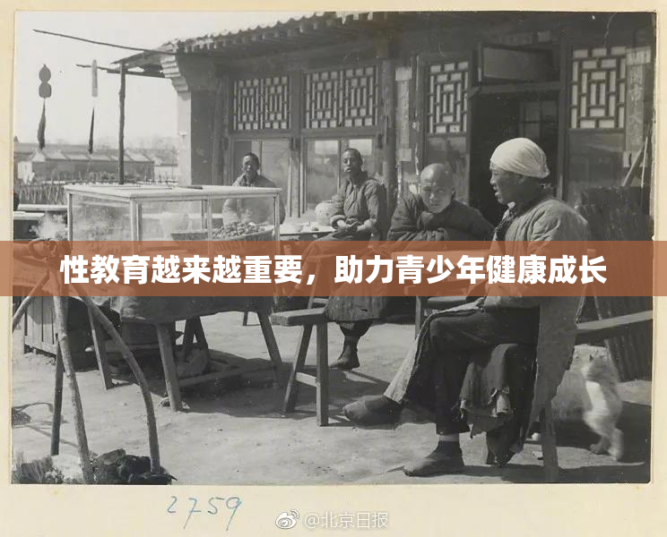 性教育越来越重要，助力青少年健康成长
