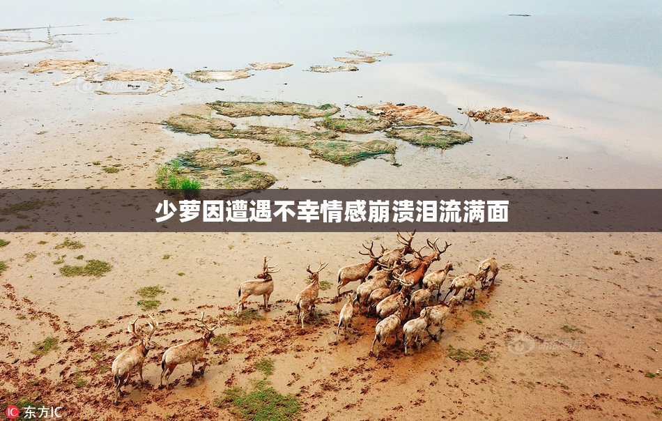 少萝因遭遇不幸情感崩溃泪流满面