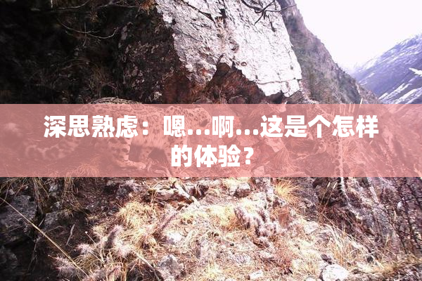 深思熟虑：嗯…啊…这是个怎样的体验？