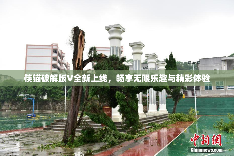 筷锚破解版V全新上线，畅享无限乐趣与精彩体验