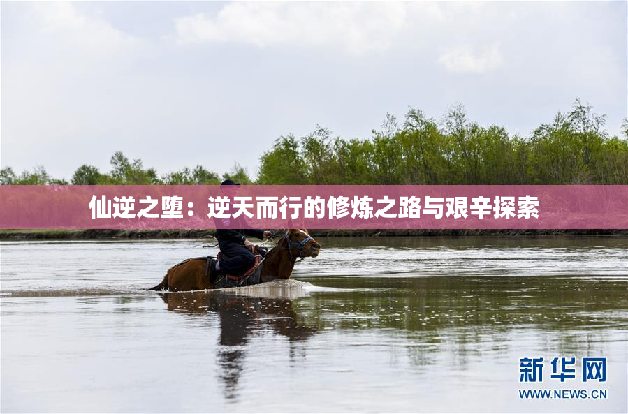 仙逆之堕：逆天而行的修炼之路与艰辛探索