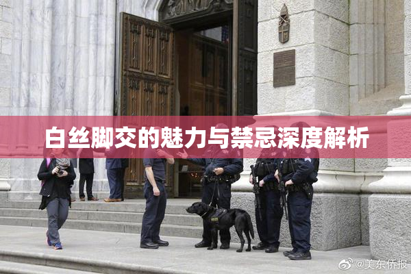 白丝脚交的魅力与禁忌深度解析