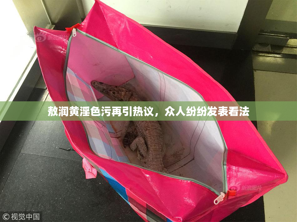 敖润黄淫色污再引热议，众人纷纷发表看法
