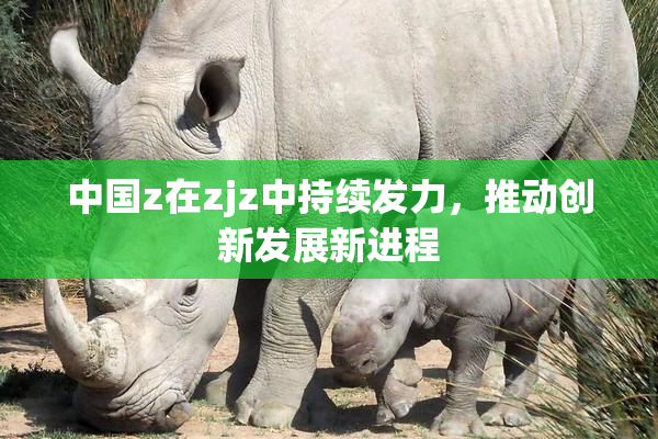 中国z在zjz中持续发力，推动创新发展新进程