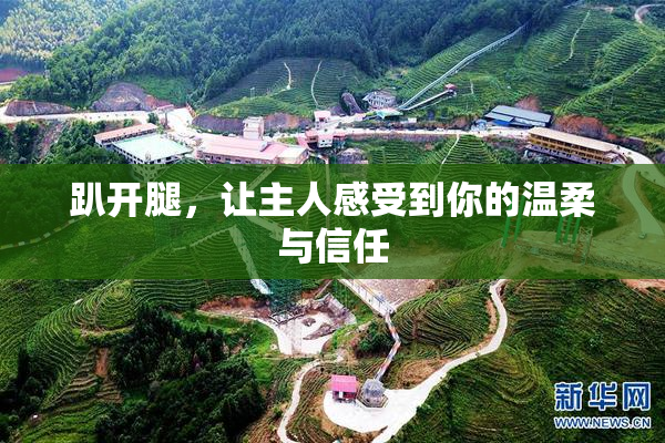 趴开腿，让主人感受到你的温柔与信任