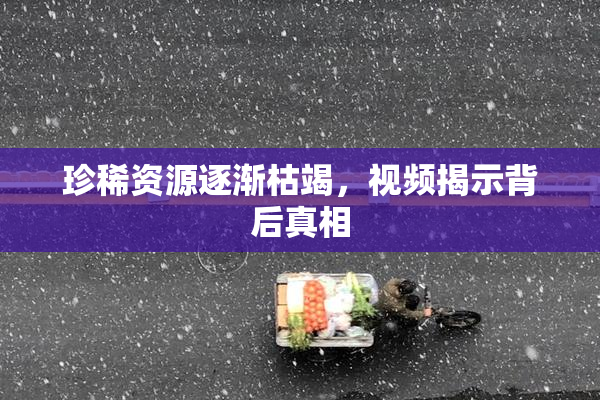 珍稀资源逐渐枯竭，视频揭示背后真相