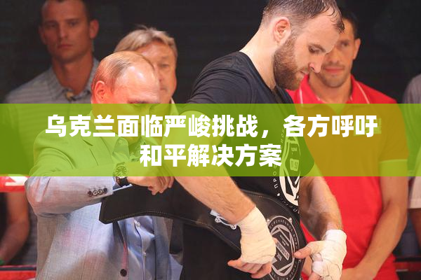 乌克兰面临严峻挑战，各方呼吁和平解决方案