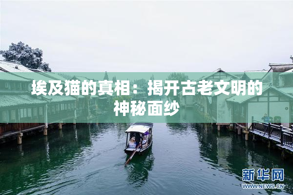 埃及猫的真相：揭开古老文明的神秘面纱