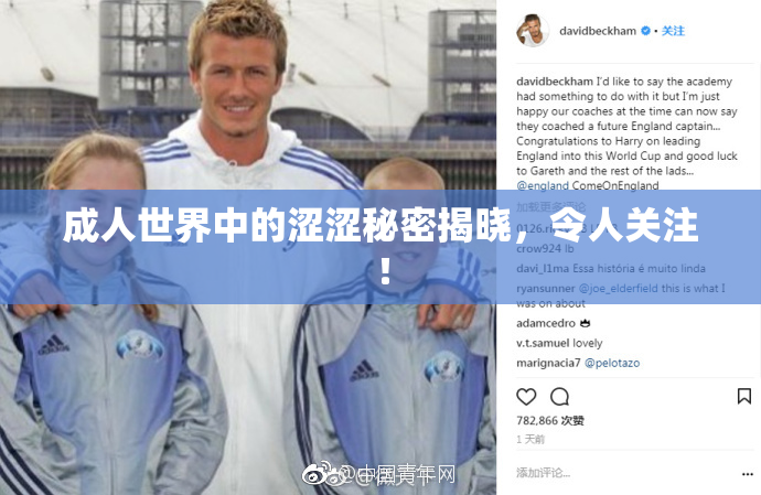 成人世界中的涩涩秘密揭晓，令人关注！