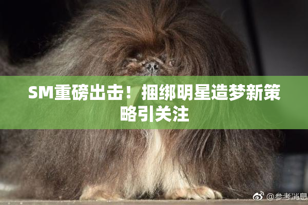 SM重磅出击！捆绑明星造梦新策略引关注
