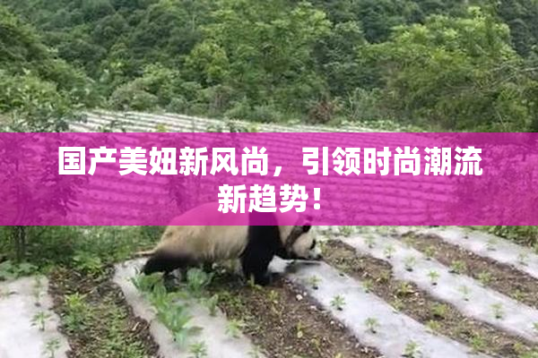 国产美妞新风尚，引领时尚潮流新趋势！