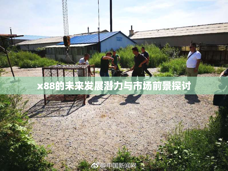 x88的未来发展潜力与市场前景探讨