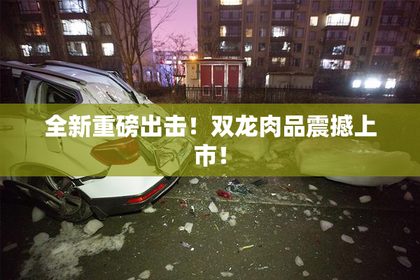 全新重磅出击！双龙肉品震撼上市！