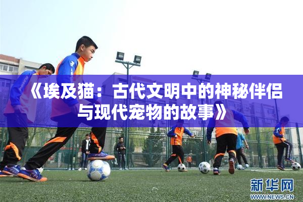 《埃及猫：古代文明中的神秘伴侣与现代宠物的故事》