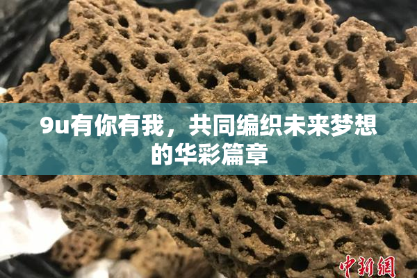 9u有你有我，共同编织未来梦想的华彩篇章