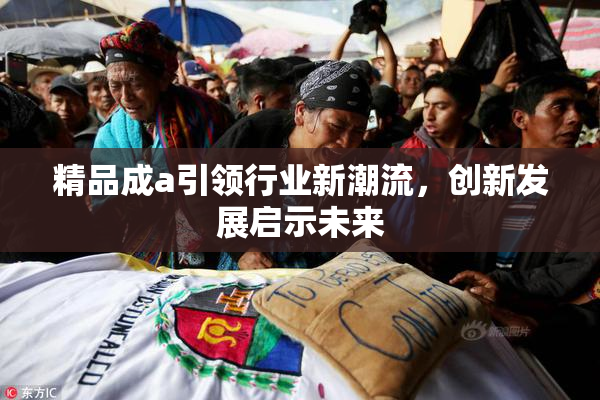 精品成a引领行业新潮流，创新发展启示未来