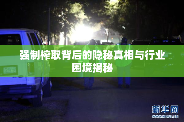 强制榨取背后的隐秘真相与行业困境揭秘