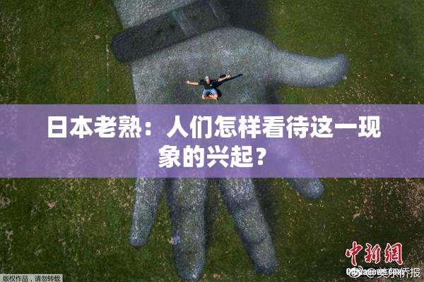 日本老熟：人们怎样看待这一现象的兴起？
