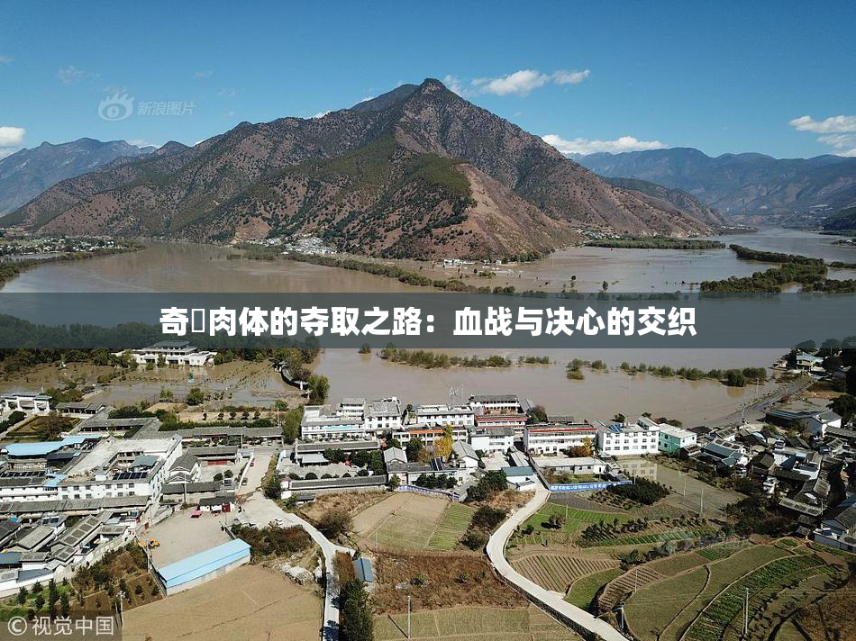 奇犽肉体的夺取之路：血战与决心的交织