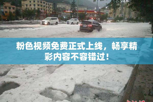 粉色视频免费正式上线，畅享精彩内容不容错过！