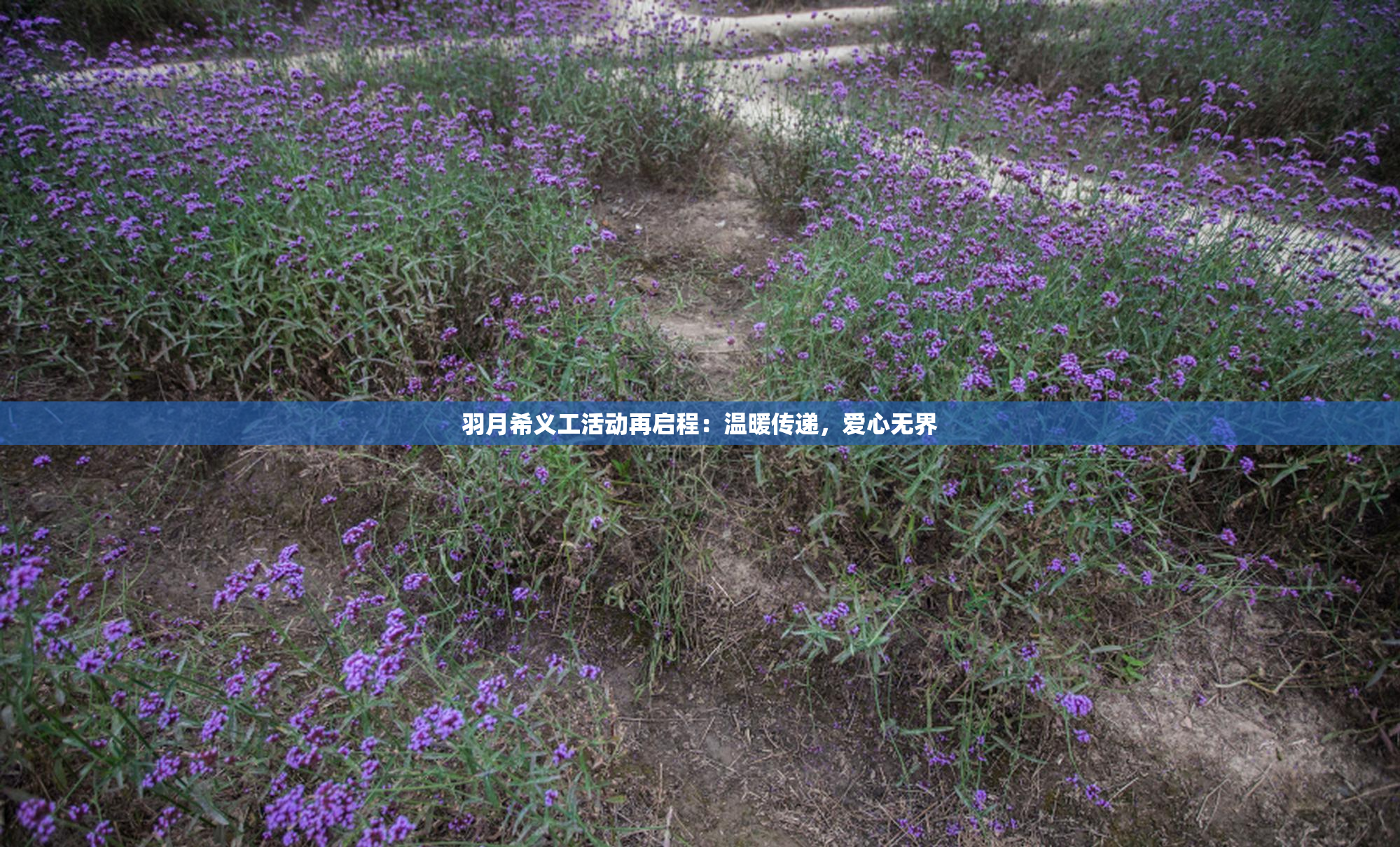 羽月希义工活动再启程：温暖传递，爱心无界
