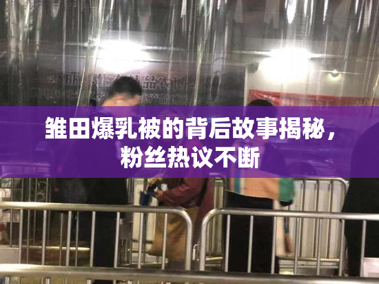 雏田爆乳被的背后故事揭秘，粉丝热议不断