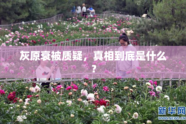 灰原衰被质疑，真相到底是什么？