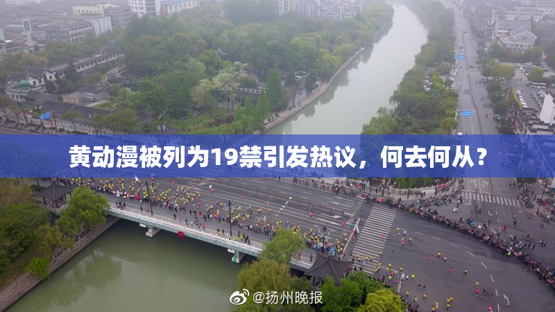 黄动漫被列为19禁引发热议，何去何从？