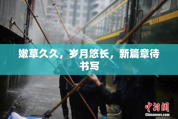 嫩草久久，岁月悠长，新篇章待书写