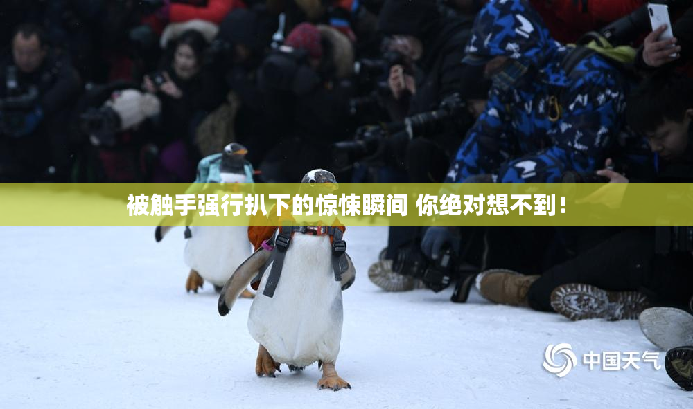 被触手强行扒下的惊悚瞬间 你绝对想不到！