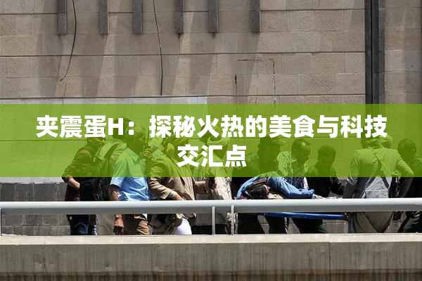 夹震蛋H：探秘火热的美食与科技交汇点