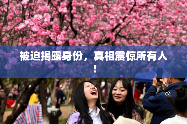 被迫揭露身份，真相震惊所有人！