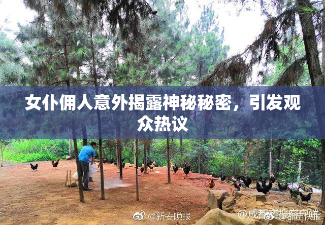 女仆佣人意外揭露神秘秘密，引发观众热议