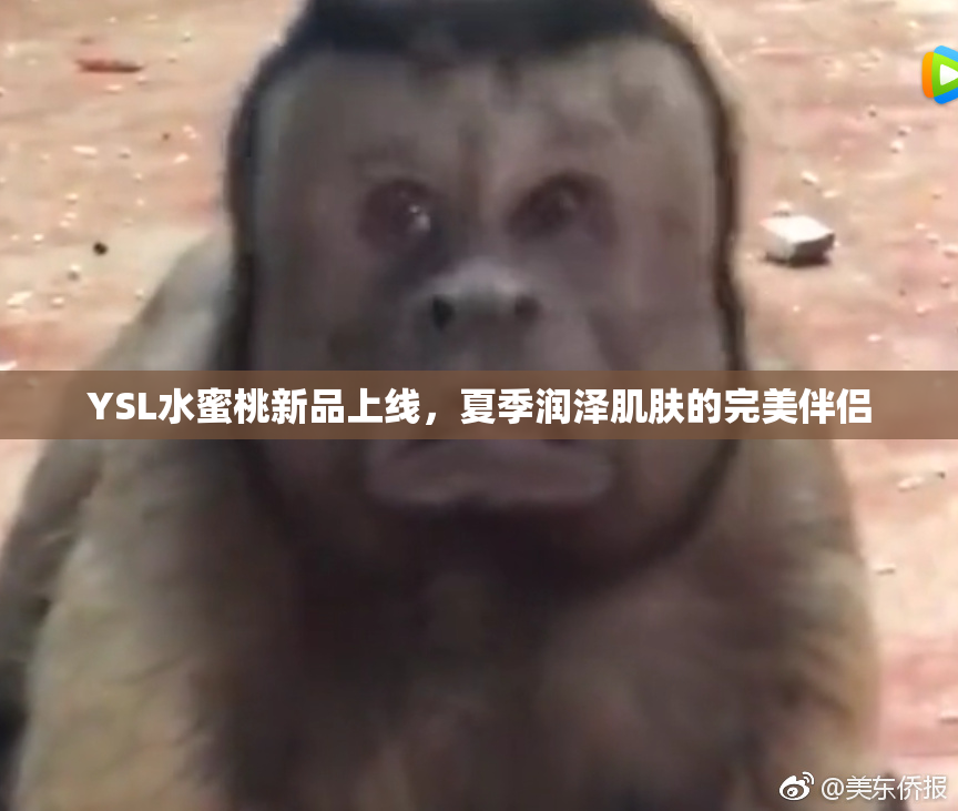 YSL水蜜桃新品上线，夏季润泽肌肤的完美伴侣
