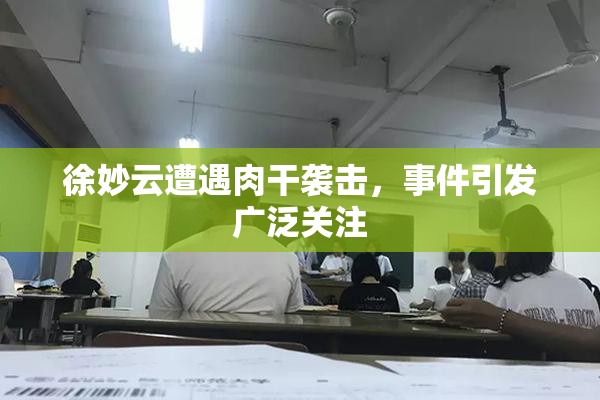 徐妙云遭遇肉干袭击，事件引发广泛关注