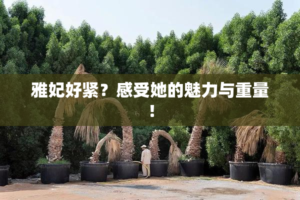 雅妃好紧？感受她的魅力与重量！