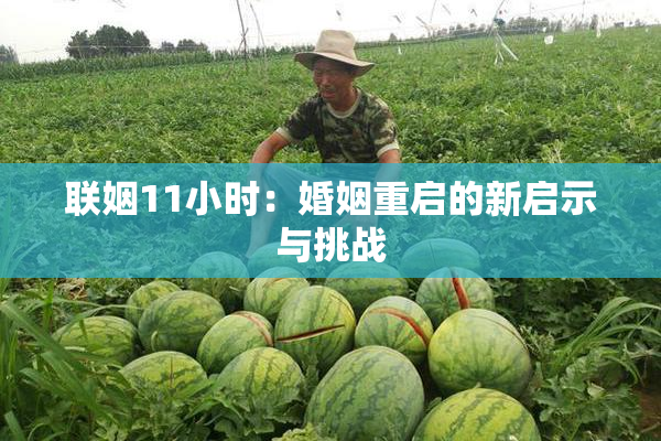 联姻11小时：婚姻重启的新启示与挑战