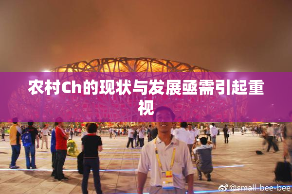 农村Ch的现状与发展亟需引起重视