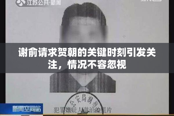 谢俞请求贺朝的关键时刻引发关注，情况不容忽视