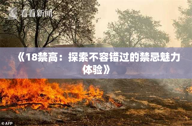 《18禁高：探索不容错过的禁忌魅力体验》