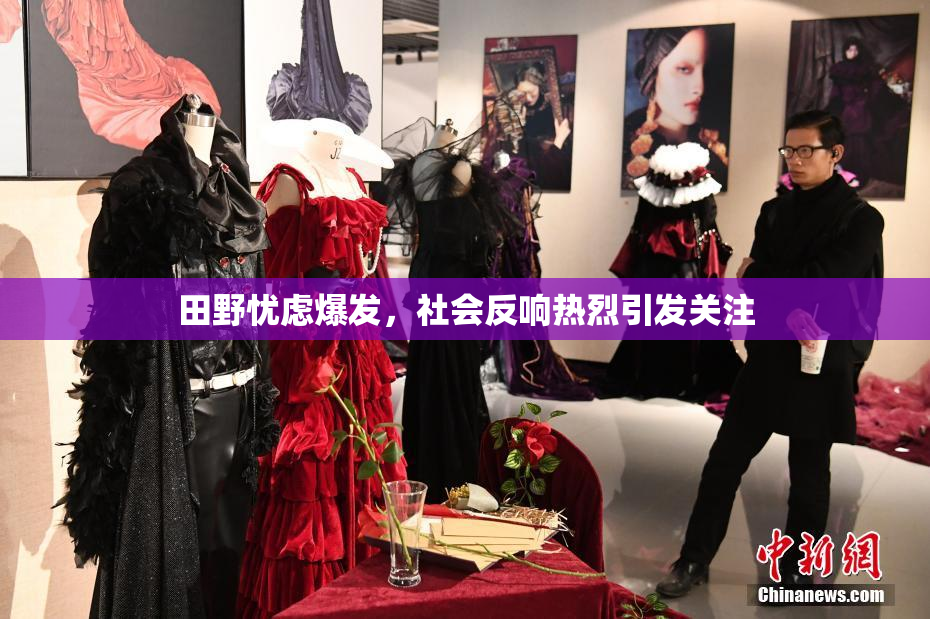 田野忧虑爆发，社会反响热烈引发关注