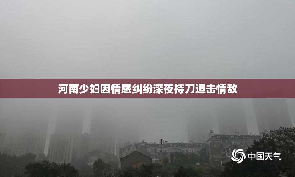 河南少妇因情感纠纷深夜持刀追击情敌