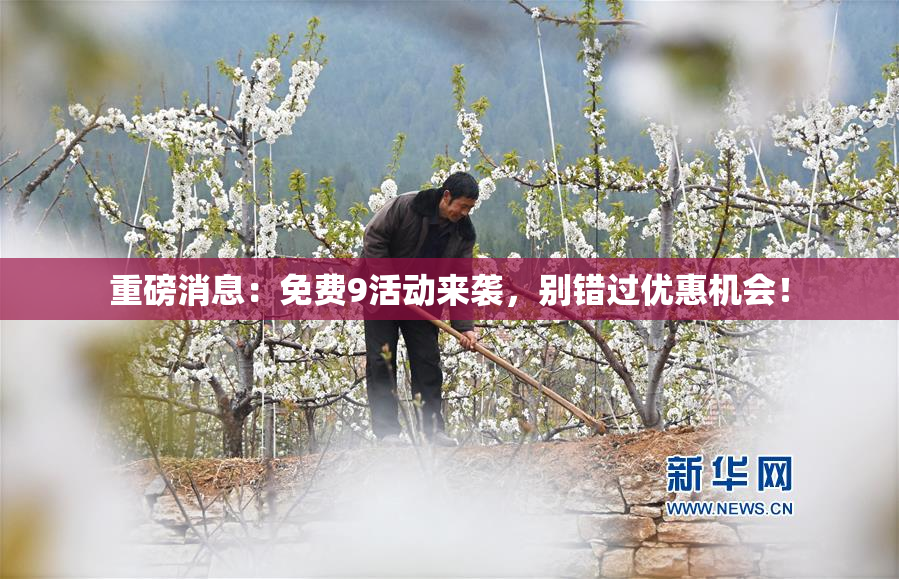 重磅消息：免费9活动来袭，别错过优惠机会！