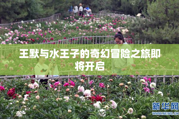 王默与水王子的奇幻冒险之旅即将开启