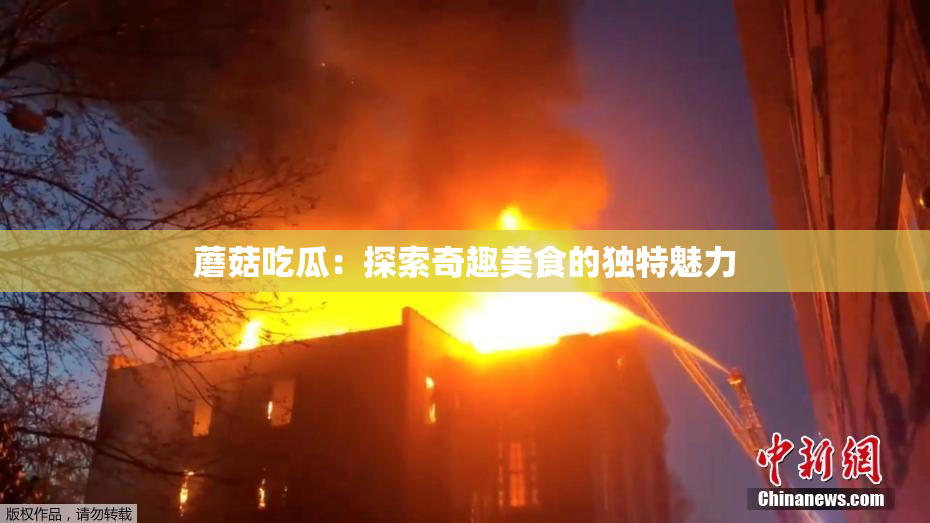 蘑菇吃瓜：探索奇趣美食的独特魅力