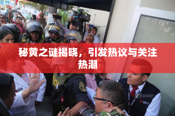 秘黄之谜揭晓，引发热议与关注热潮