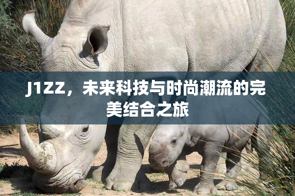 J1ZZ，未来科技与时尚潮流的完美结合之旅