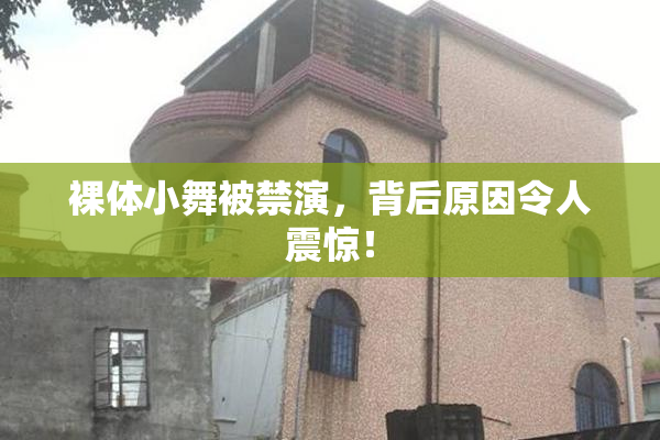 裸体小舞被禁演，背后原因令人震惊！